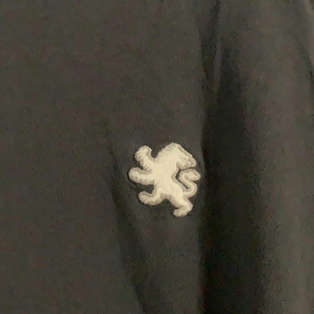 Express shirt - Picture 2 of 3